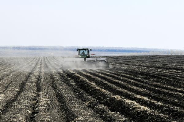 怎么防治牛蒡的病虫害,根据病虫害类型采取对应措施