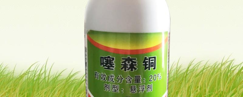 噻森铜剂简介，为有机酮络合物