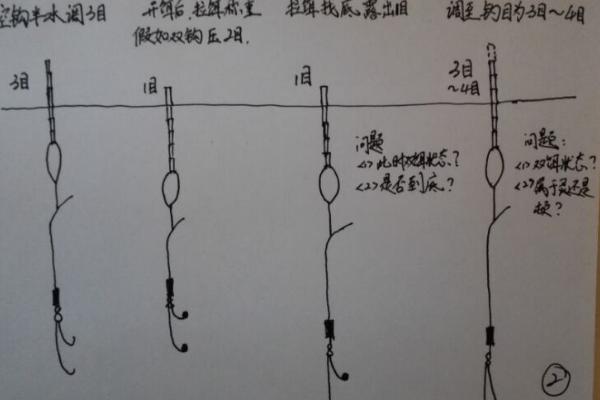 白鲢鱼喜欢吃什么饵料，可以用五谷杂粮酒糟等自然饵料