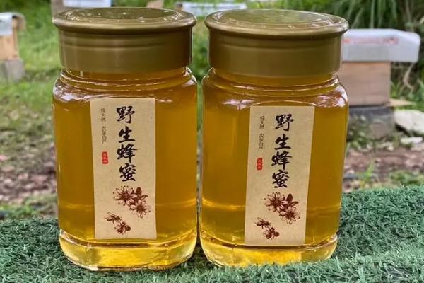 纯土蜂蜜的价格，一斤通常超过200元