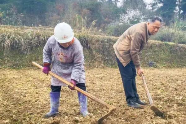 种植棉花的步骤，经过选地整地才能开展后续工作