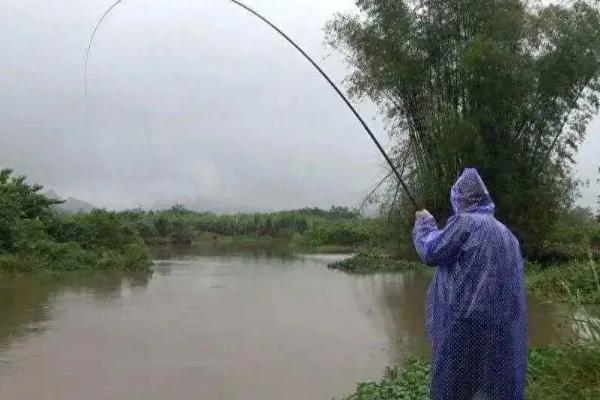 手竿钓鳜鱼技巧，早上6-10点和下午16-18点作钓为佳