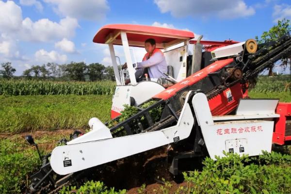 花生几月份收获，要根据所在地区决定