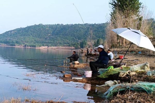 如何在水库中垂钓淡水鲈鱼，可采取传统钓、路亚钓的方式