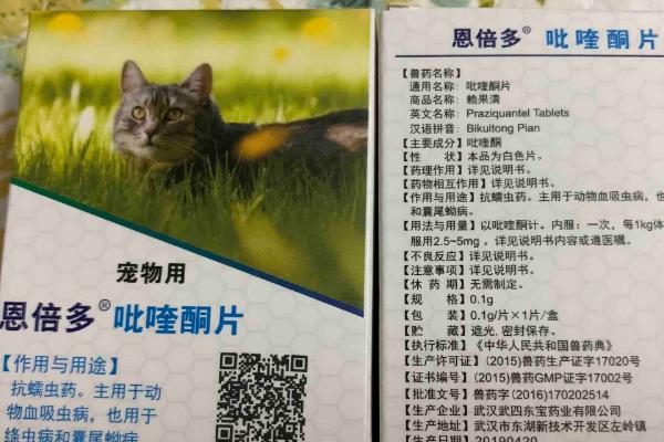 猫咪驱虫药的选择方法，根据症状选择药物类型