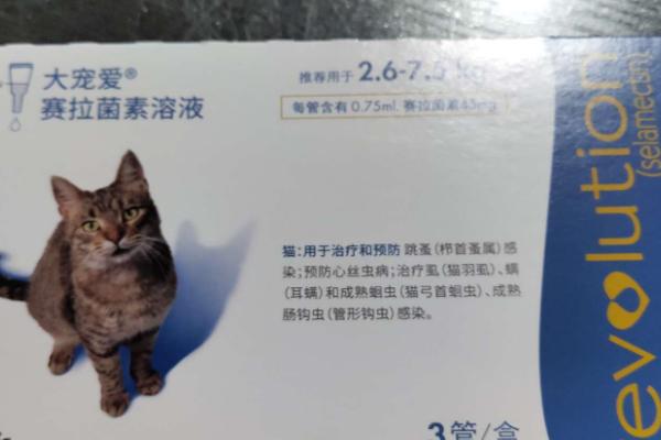 猫咪驱虫药的选择方法，根据症状选择药物类型