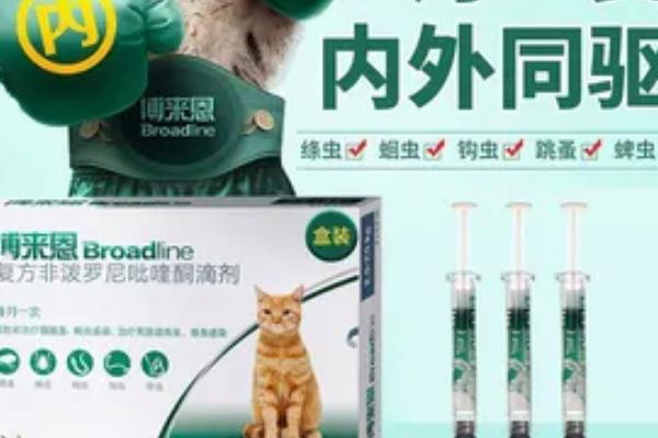 猫咪驱虫药的选择方法，根据症状选择药物类型