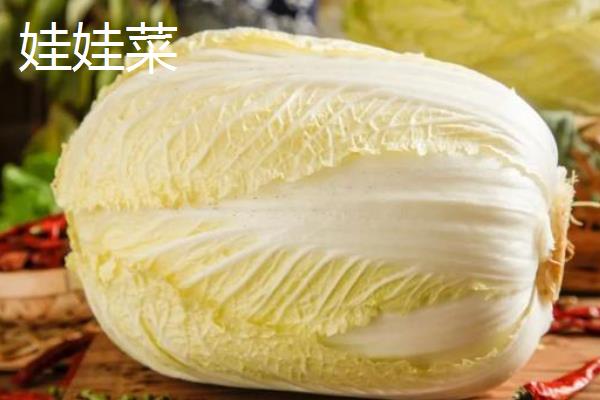 娃娃菜和大白菜的区别，价格、外观等方面均不同