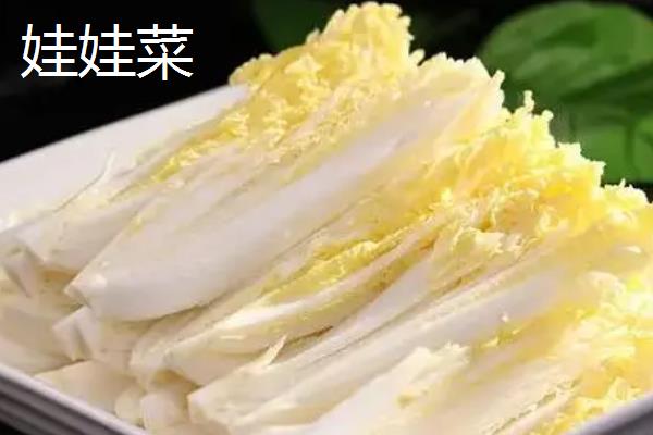 娃娃菜和大白菜的区别，价格、外观等方面均不同